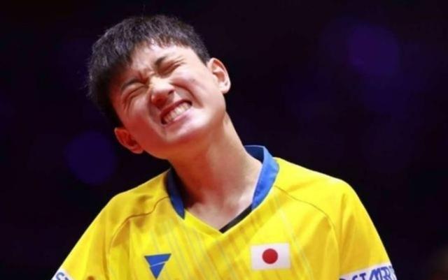 向鹏, 林诗栋顶住 向鹏, 林诗栋顶住